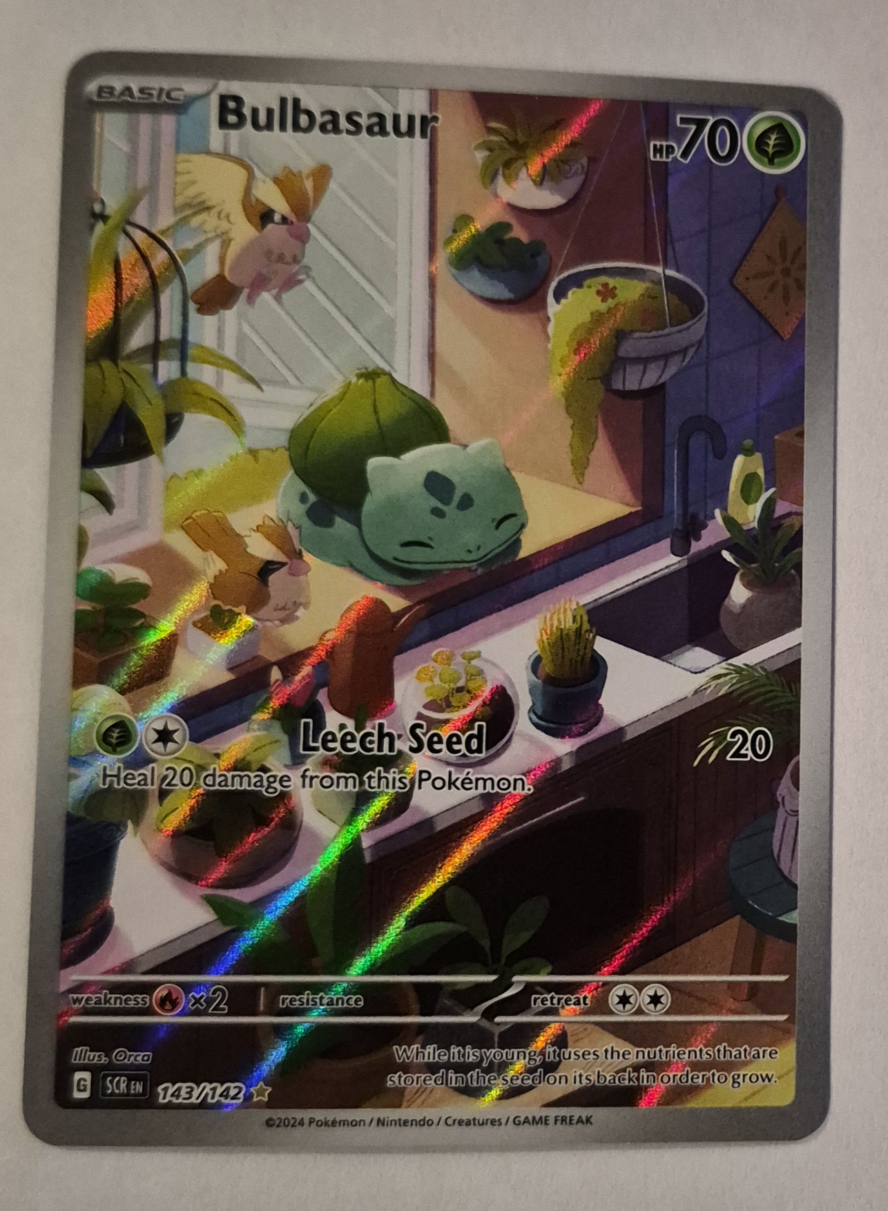 Bulbasaur
